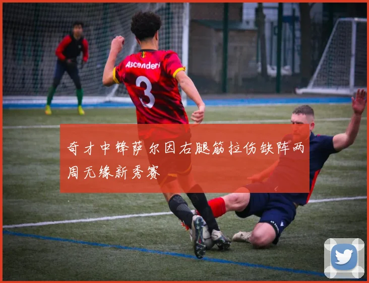 奇才中锋萨尔因右腿筋拉伤缺阵两周无缘新秀赛