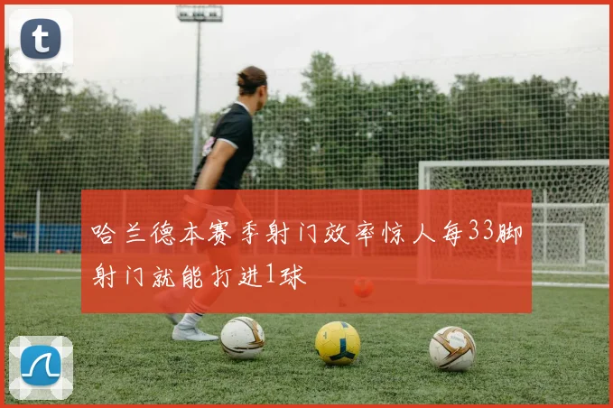 哈兰德本赛季射门效率惊人每33脚射门就能打进1球