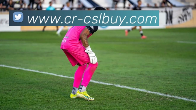 中超买球官网APP 高清赛事图